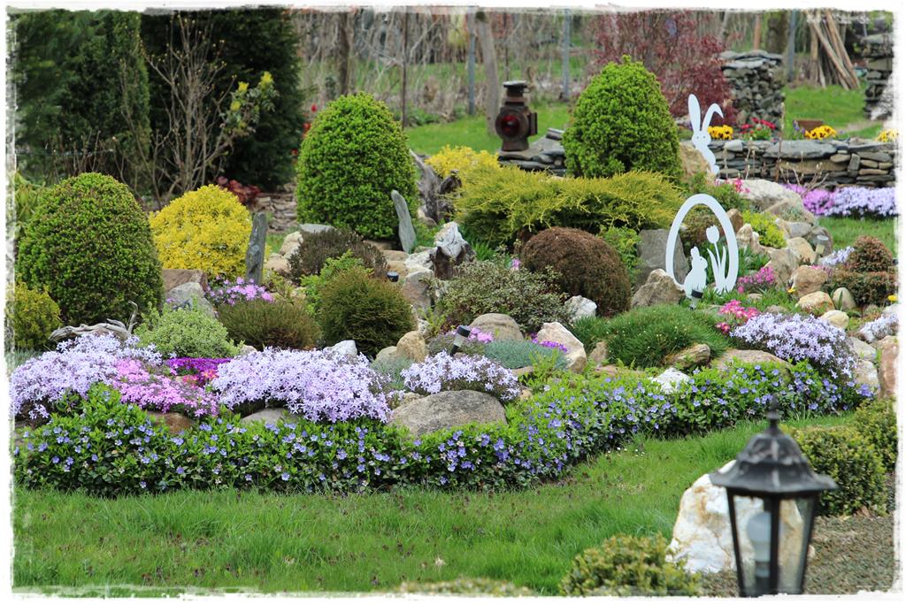 Rośliny do cienia 6aa