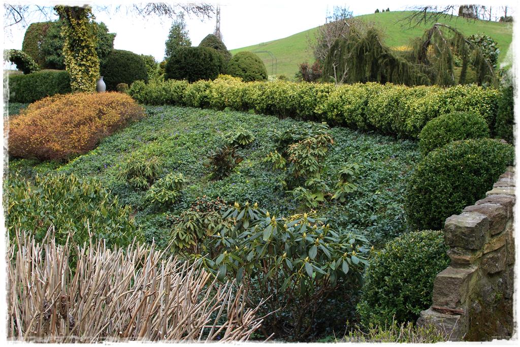 Rośliny do cienia 6c