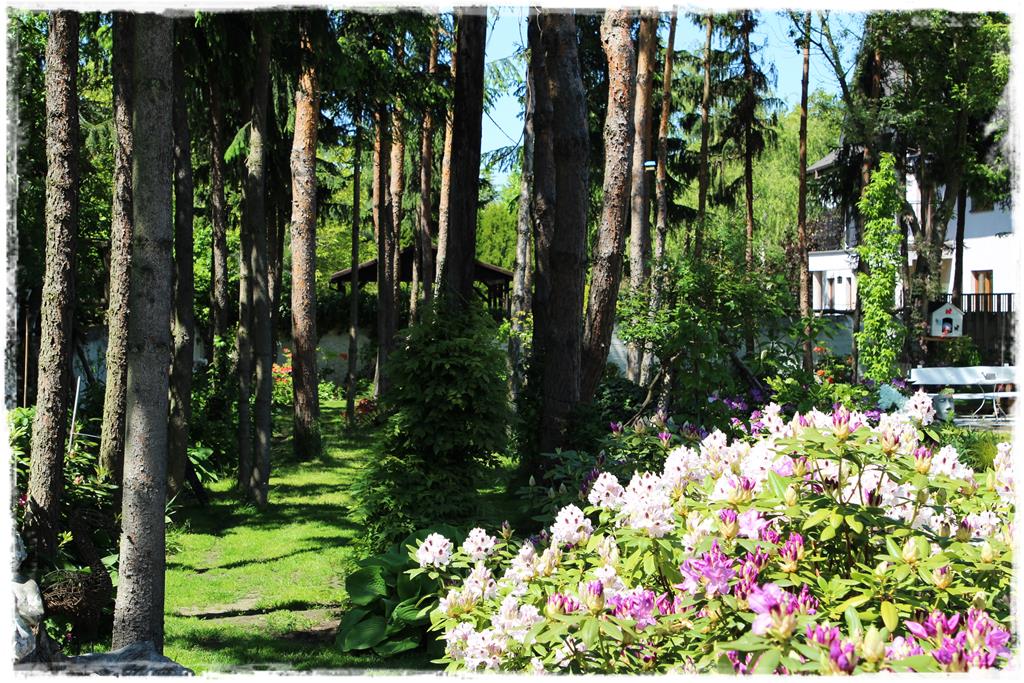 Rośliny do cienia 7bb