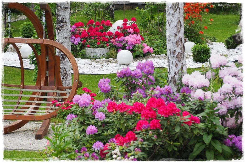 Rośliny do cienia 7d