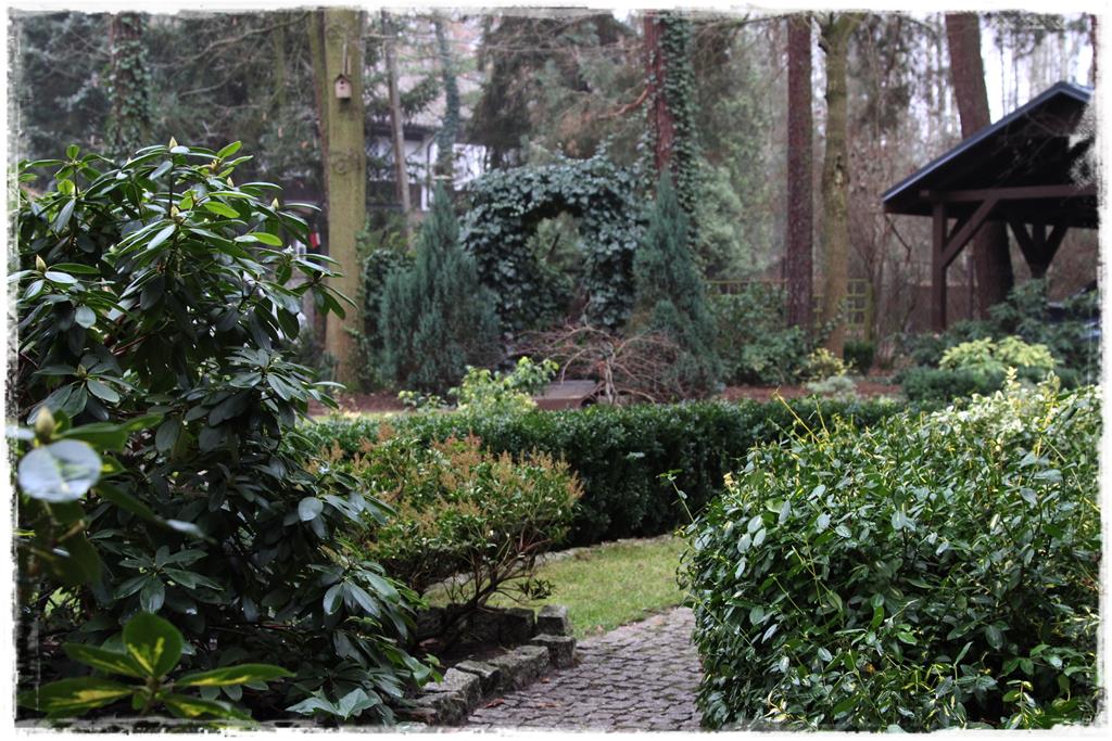 Rośliny do cienia 7f