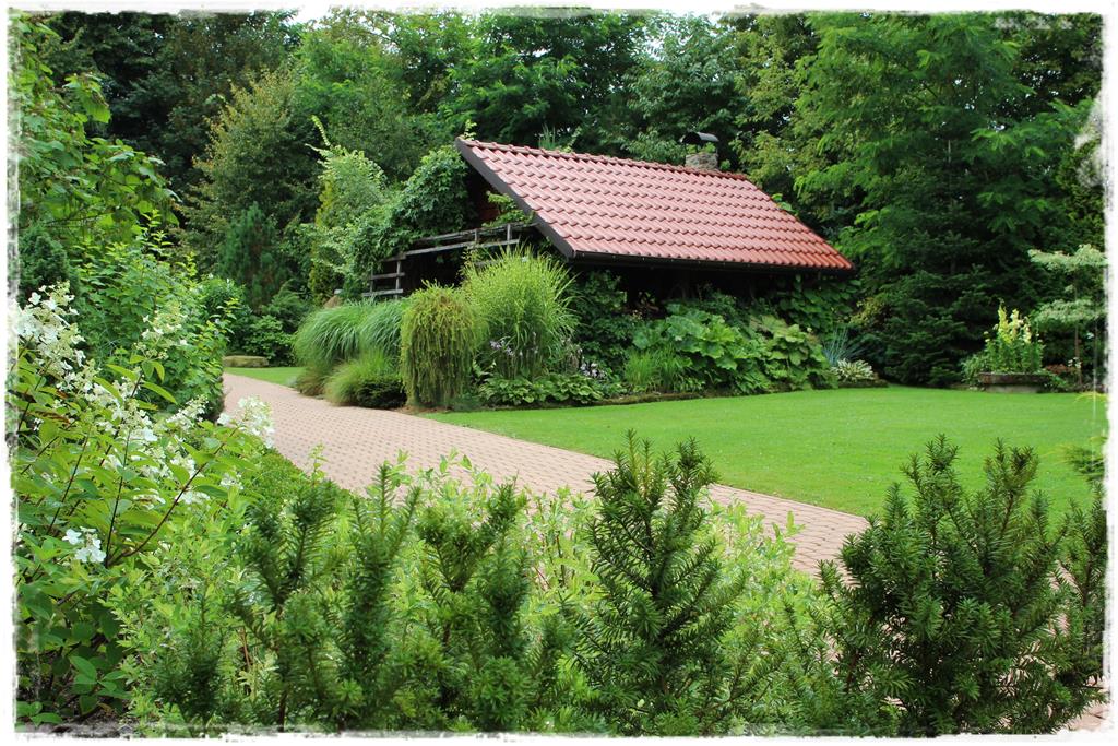 Rośliny do cienia 8aa