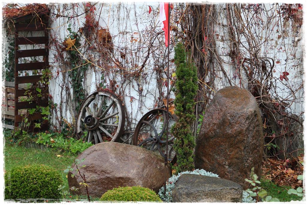 Rośliny do cienia 8b