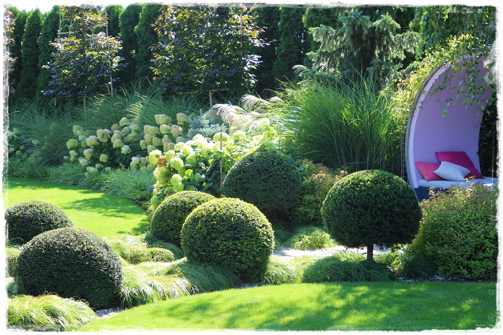 Rośliny do cienia 8g