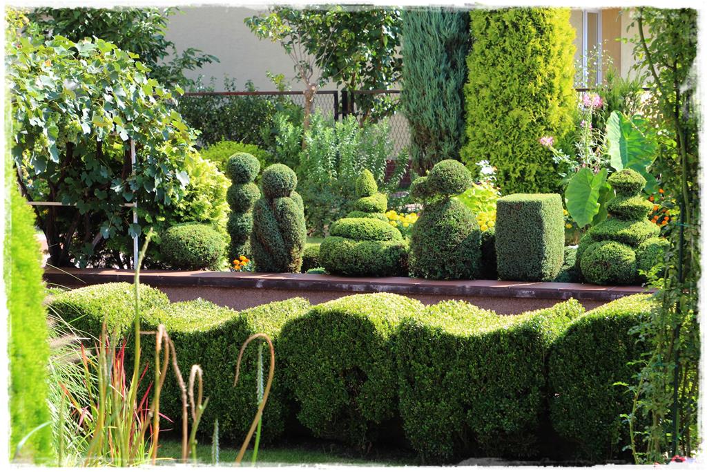 Rośliny do cienia 9b