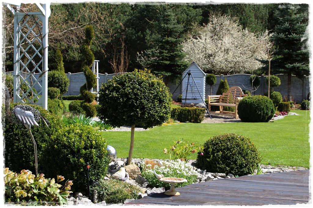 Rośliny do cienia 9d