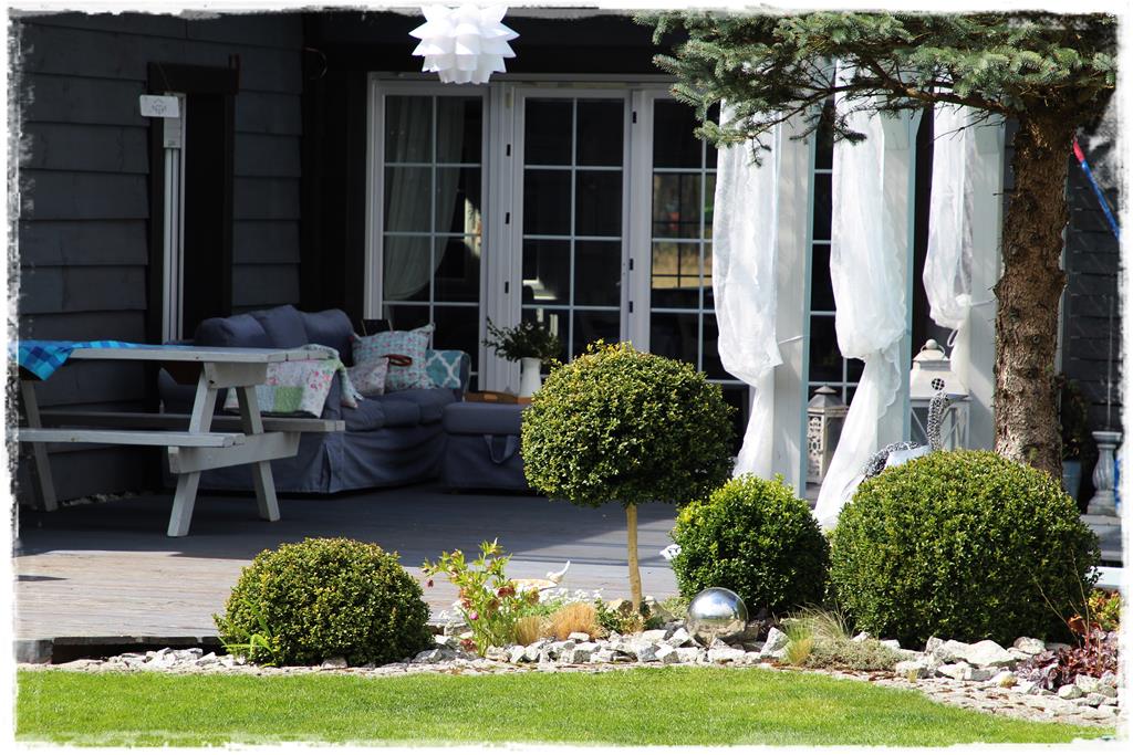 Rośliny do cienia 9e