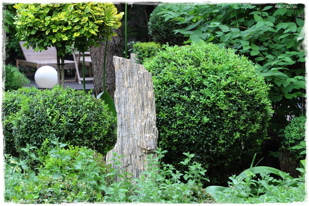 Rośliny do cienia 9h