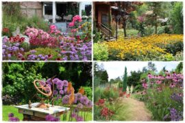 Rośliny miododajne 0