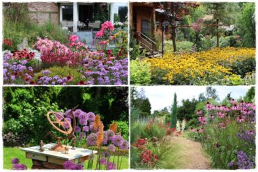 Rośliny miododajne 0