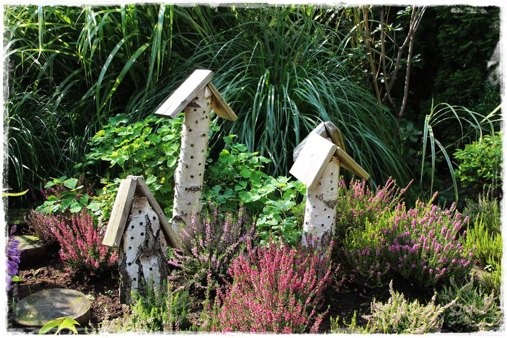 Rośliny miododajne 100 Rośliny miododajne 100