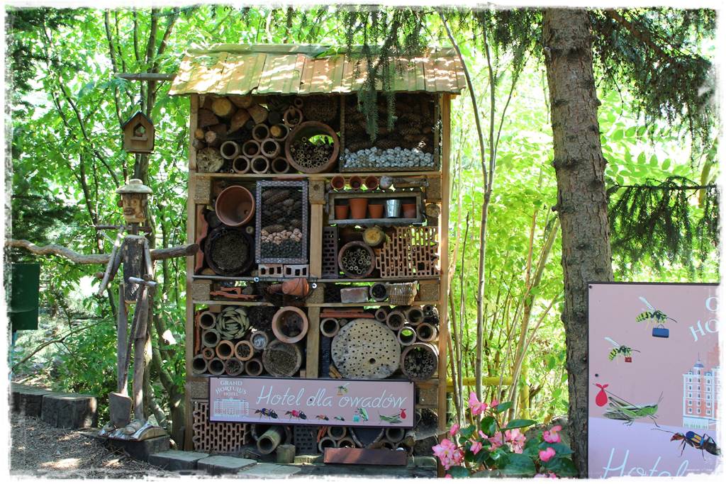 Rośliny miododajne 102 Rośliny miododajne 102