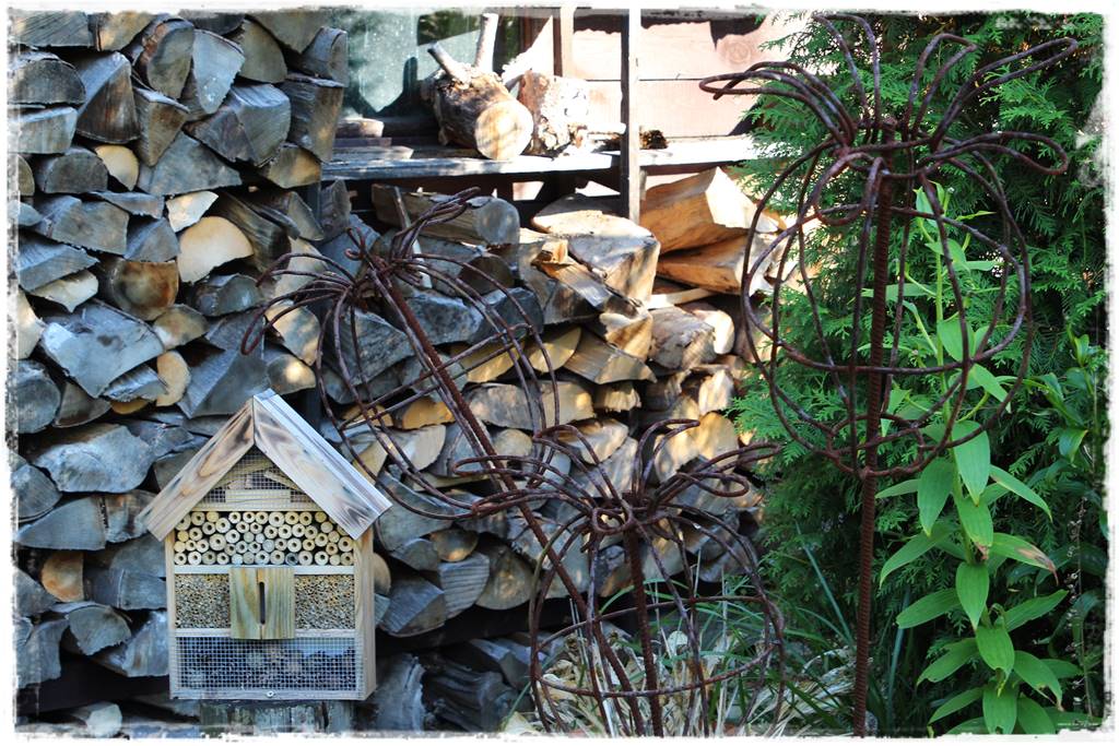 Rośliny miododajne 104 Rośliny miododajne 104