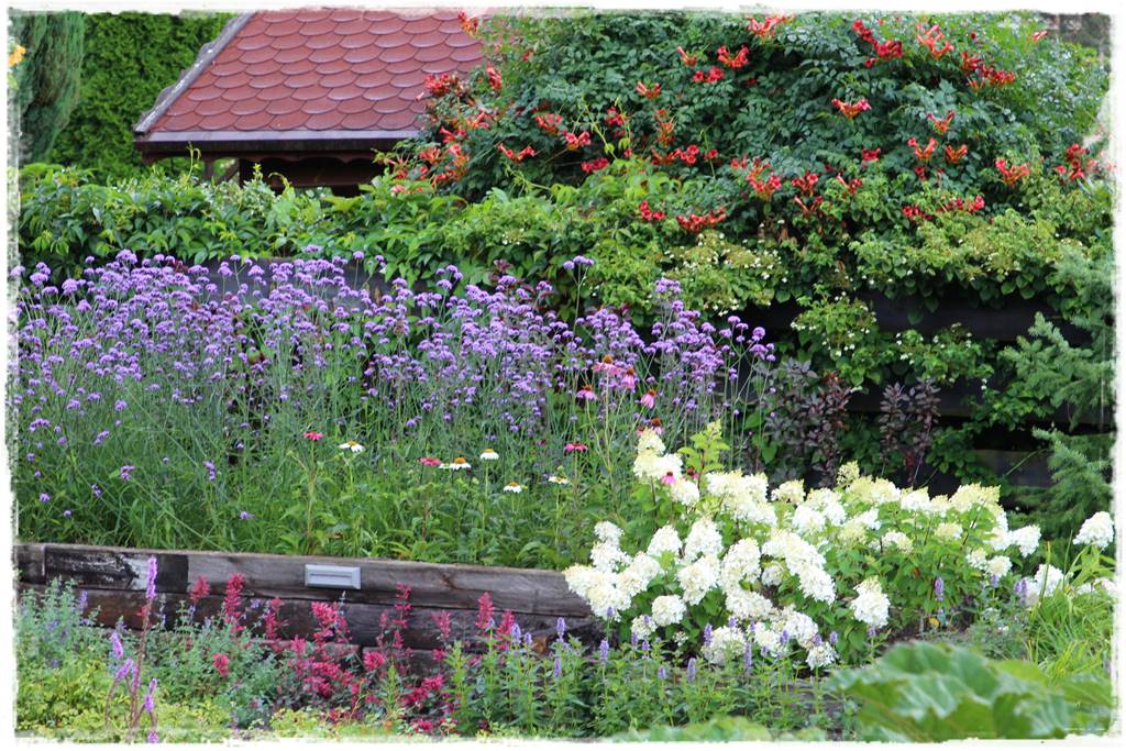 Rośliny miododajne 10b Rośliny miododajne 10b