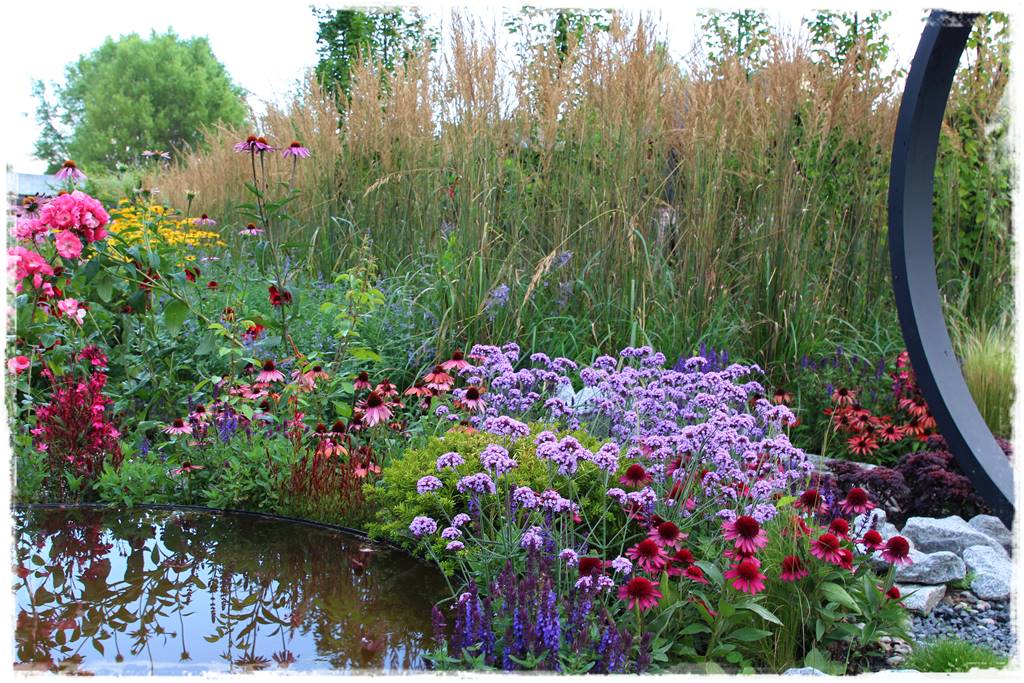 Rośliny miododajne 10c Rośliny miododajne 10c