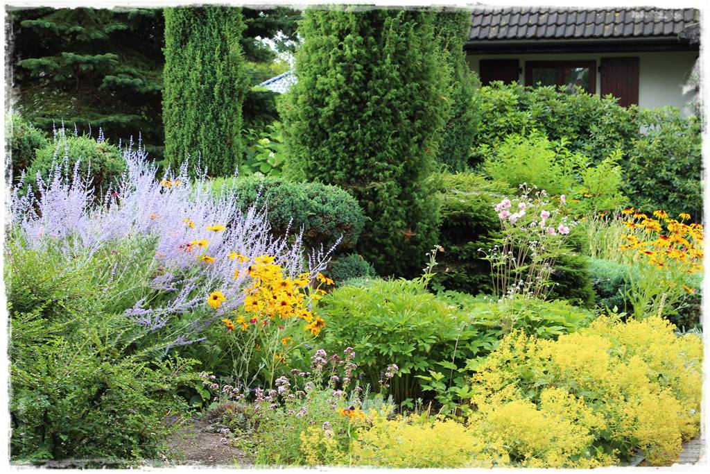 Rośliny miododajne 11