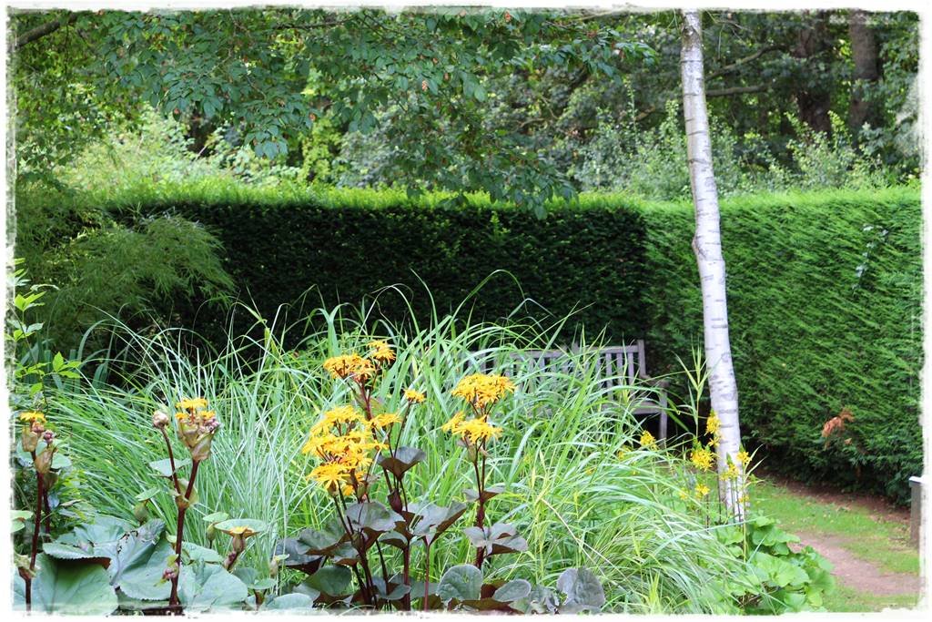 Rośliny miododajne 14