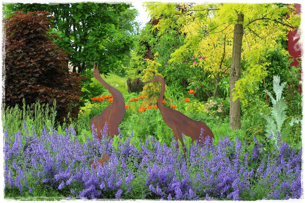 Rośliny miododajne 17