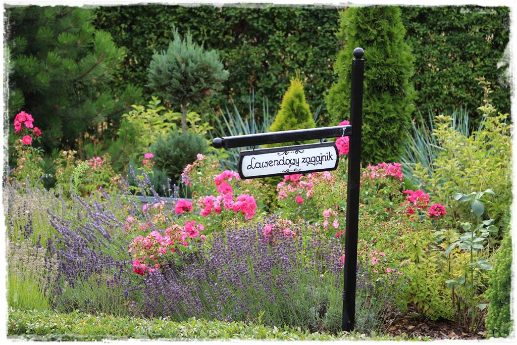 Rośliny miododajne 1aa Rośliny miododajne 1aa