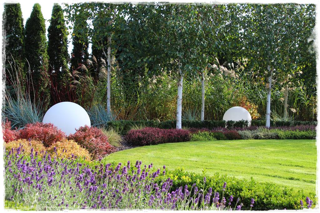 Rośliny miododajne 1g Rośliny miododajne 1g