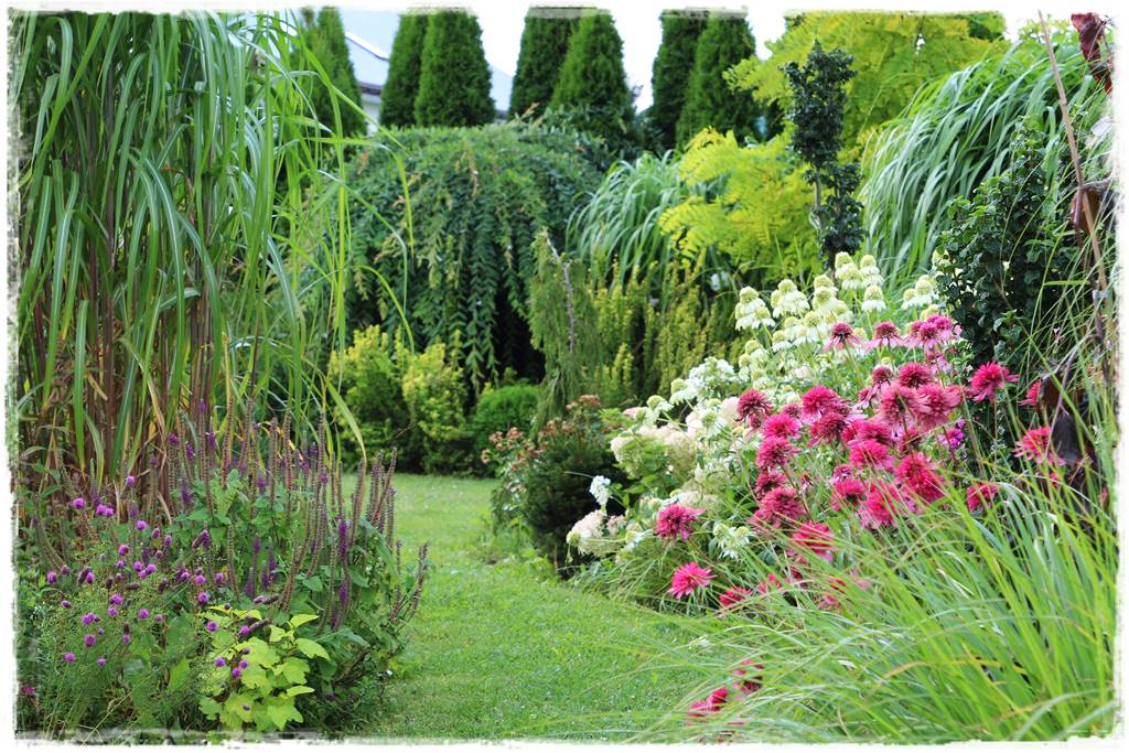 Rośliny miododajne 2c Rośliny miododajne 2c