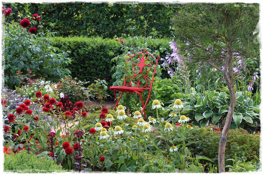 Rośliny miododajne 2g Rośliny miododajne 2g