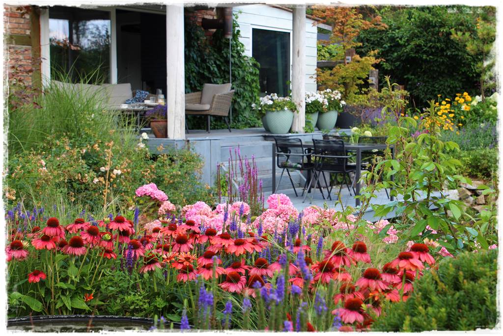 Rośliny miododajne 2i Rośliny miododajne 2i