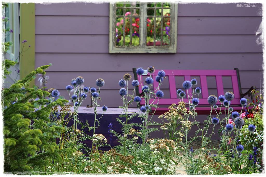 Rośliny miododajne 3 Rośliny miododajne 3