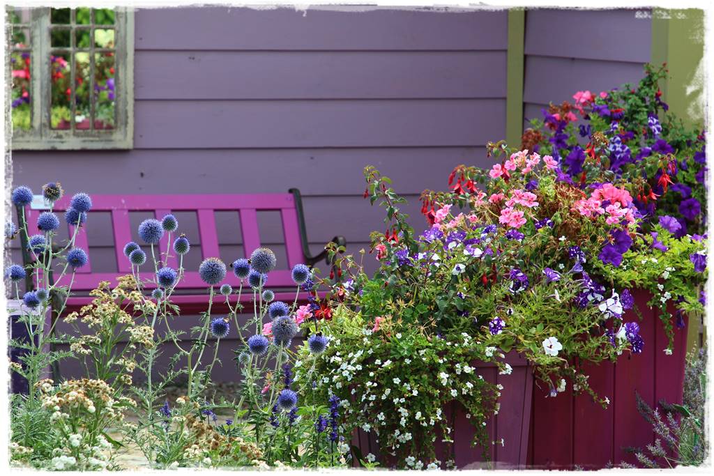 Rośliny miododajne 3a Rośliny miododajne 3a