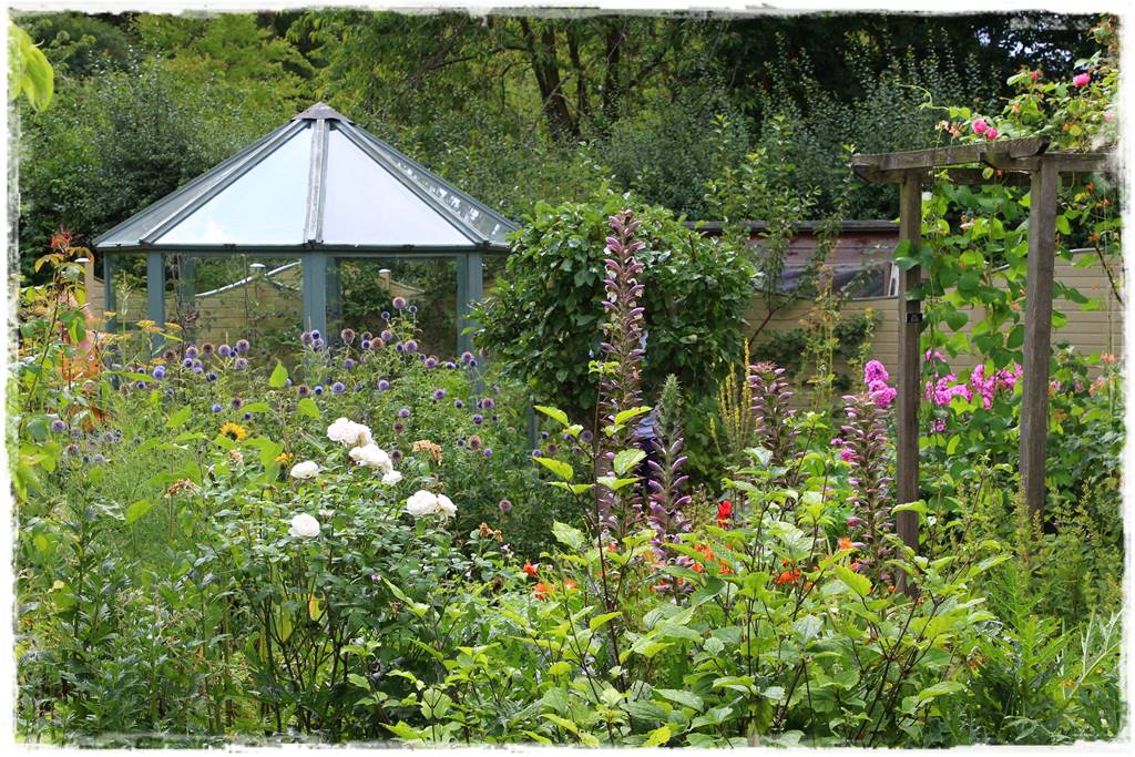 Rośliny miododajne 3b Rośliny miododajne 3b