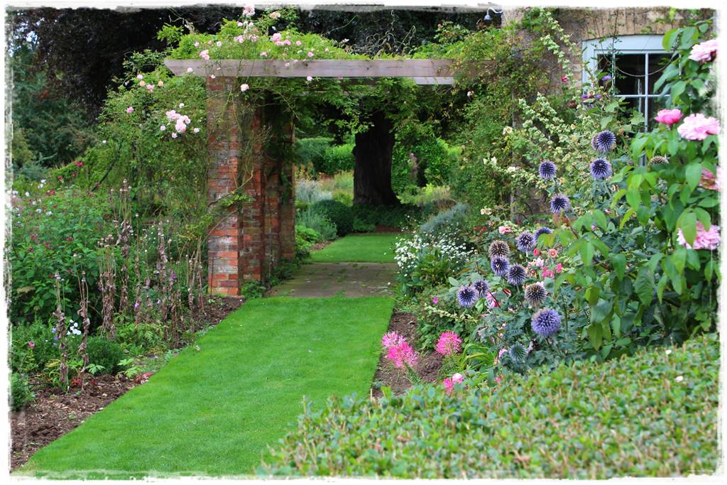 Rośliny miododajne 3c Rośliny miododajne 3c