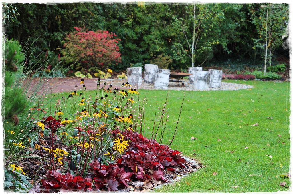 Rośliny miododajne 4e Rośliny miododajne 4e