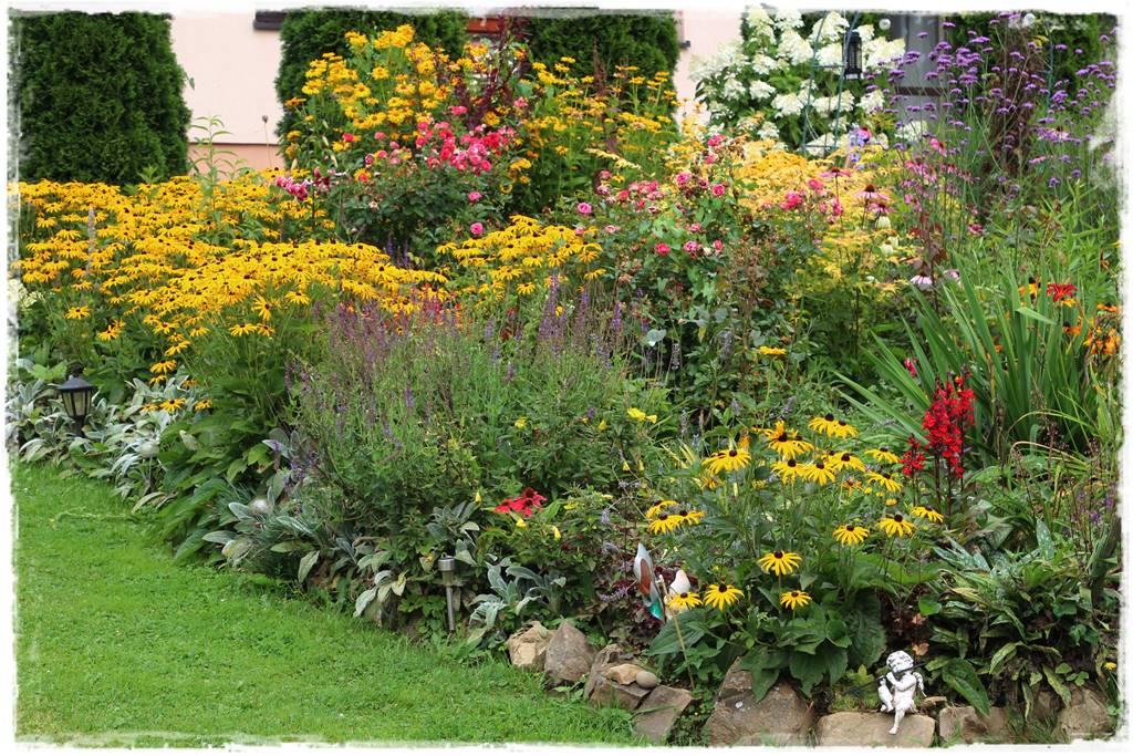 Rośliny miododajne 4g Rośliny miododajne 4g