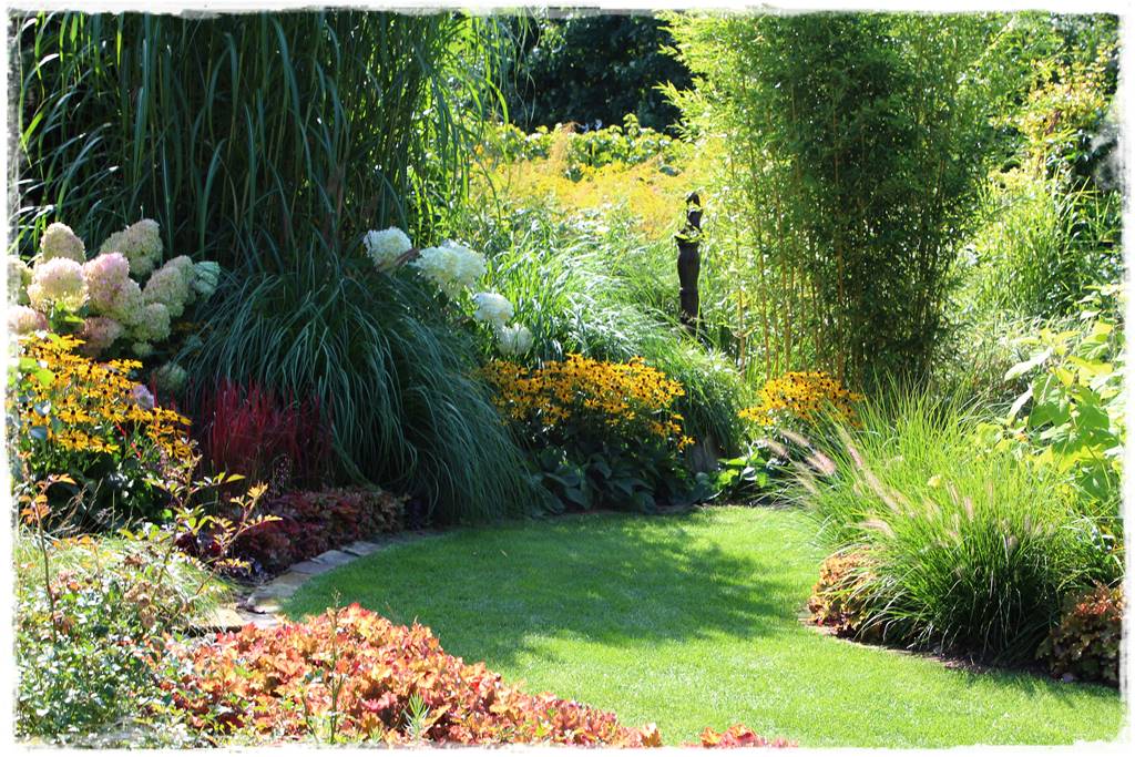 Rośliny miododajne 4h Rośliny miododajne 4h