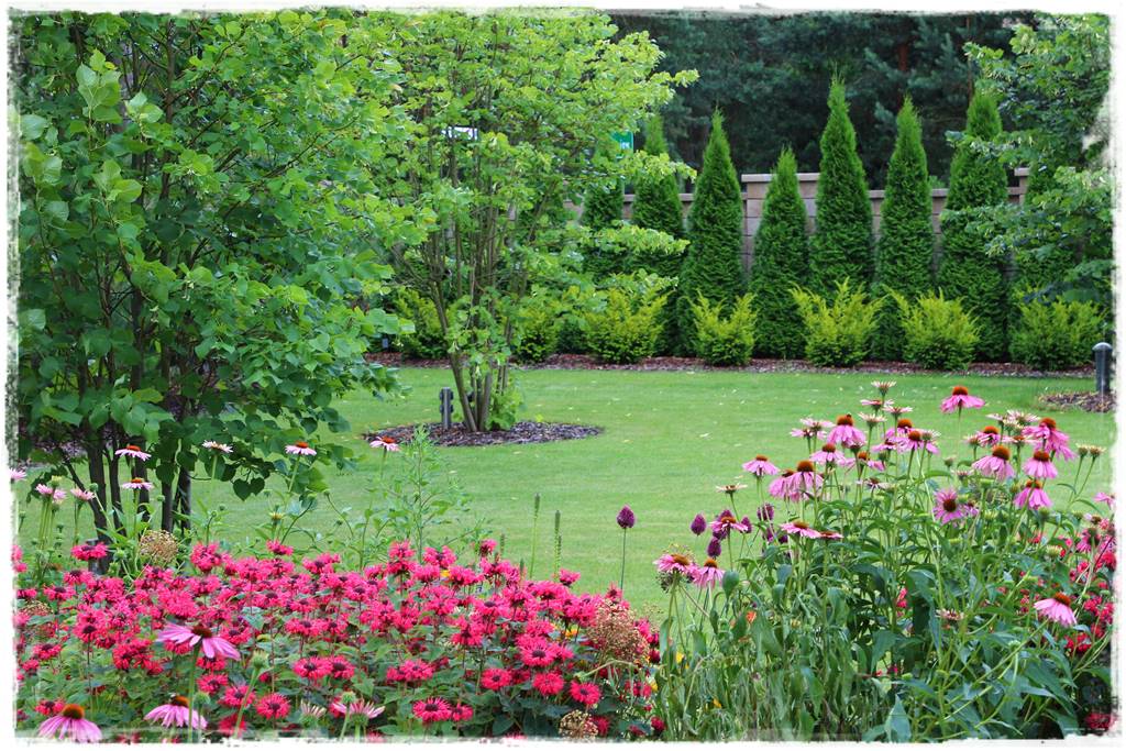 Rośliny miododajne 5b Rośliny miododajne 5b