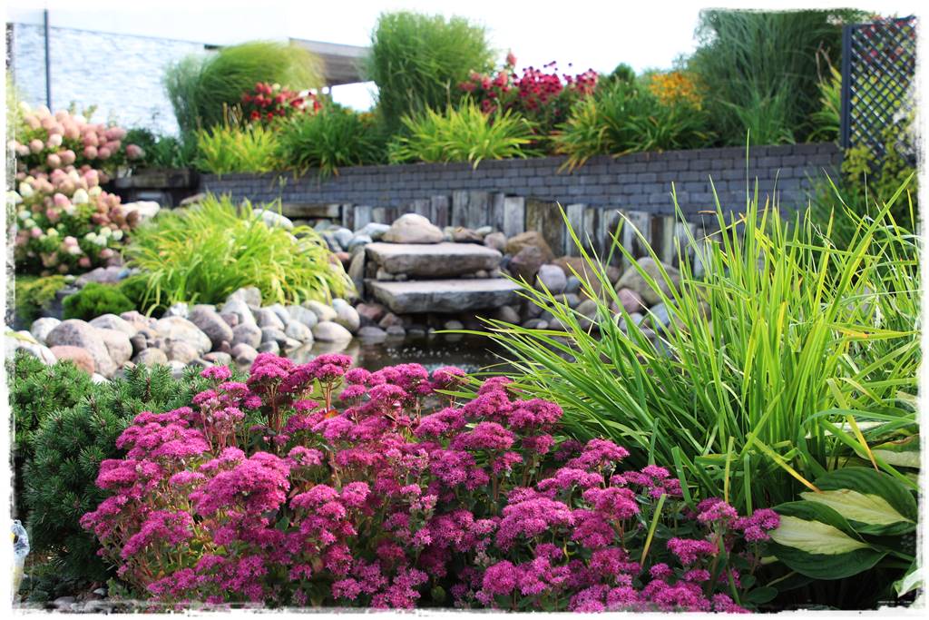 Rośliny miododajne 7 Rośliny miododajne 7