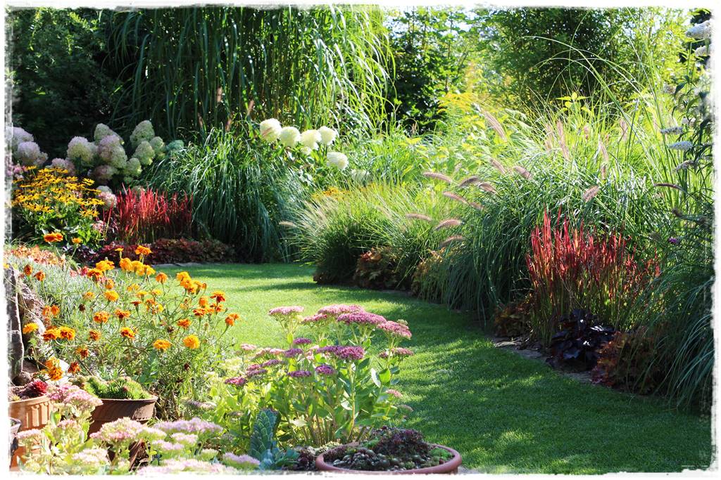 Rośliny miododajne 7d Rośliny miododajne 7d