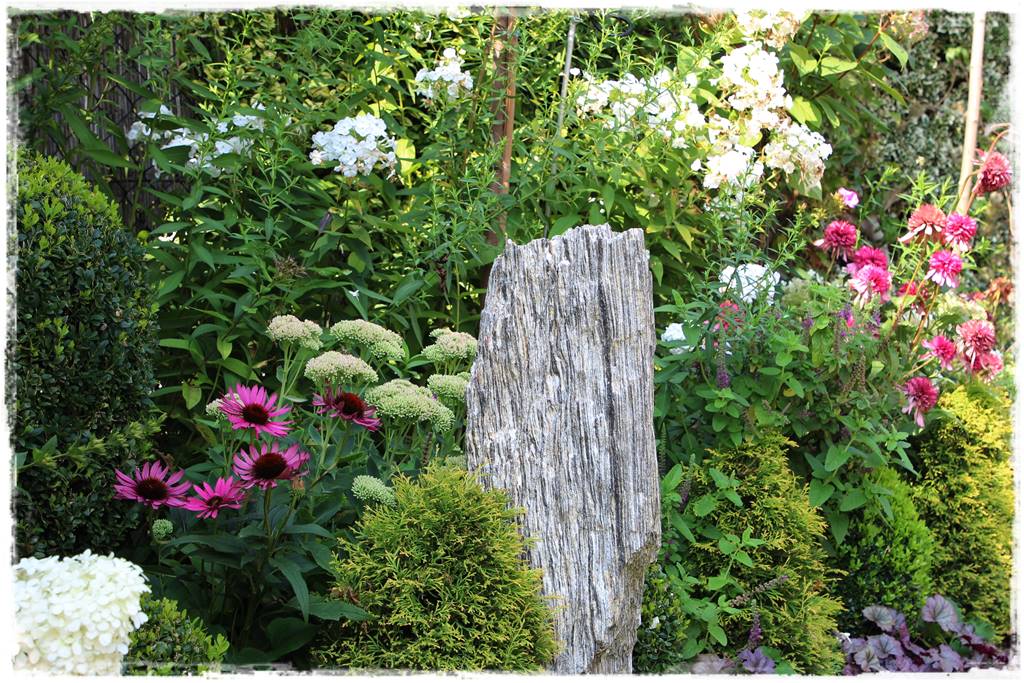 Rośliny miododajne 7f Rośliny miododajne 7f