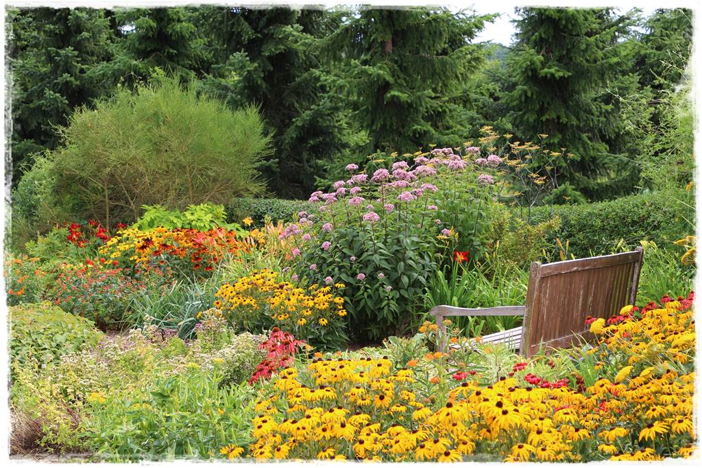 Rośliny miododajne 8b Rośliny miododajne 8b