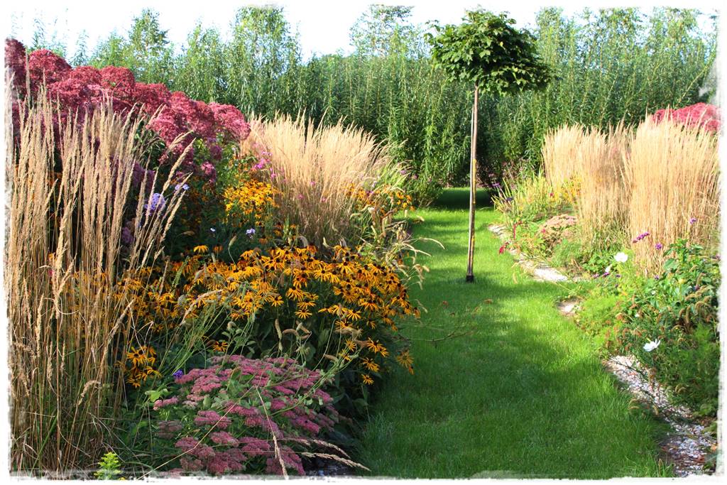 Rośliny miododajne 8c Rośliny miododajne 8c