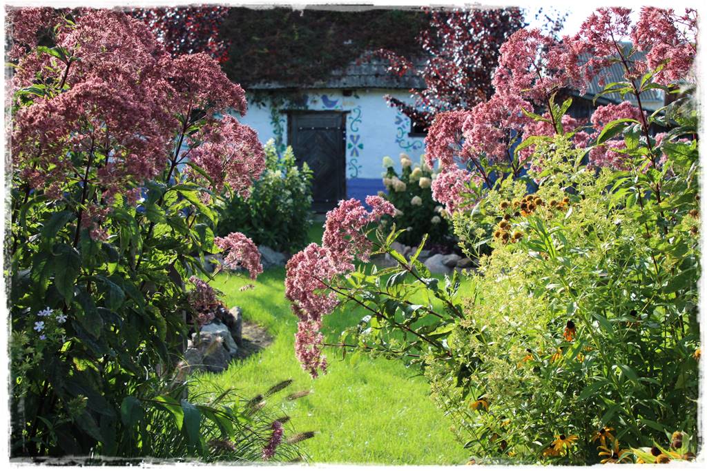 Rośliny miododajne 8d Rośliny miododajne 8d