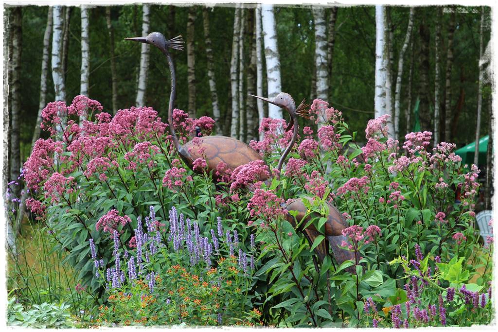 Rośliny miododajne 8g Rośliny miododajne 8g