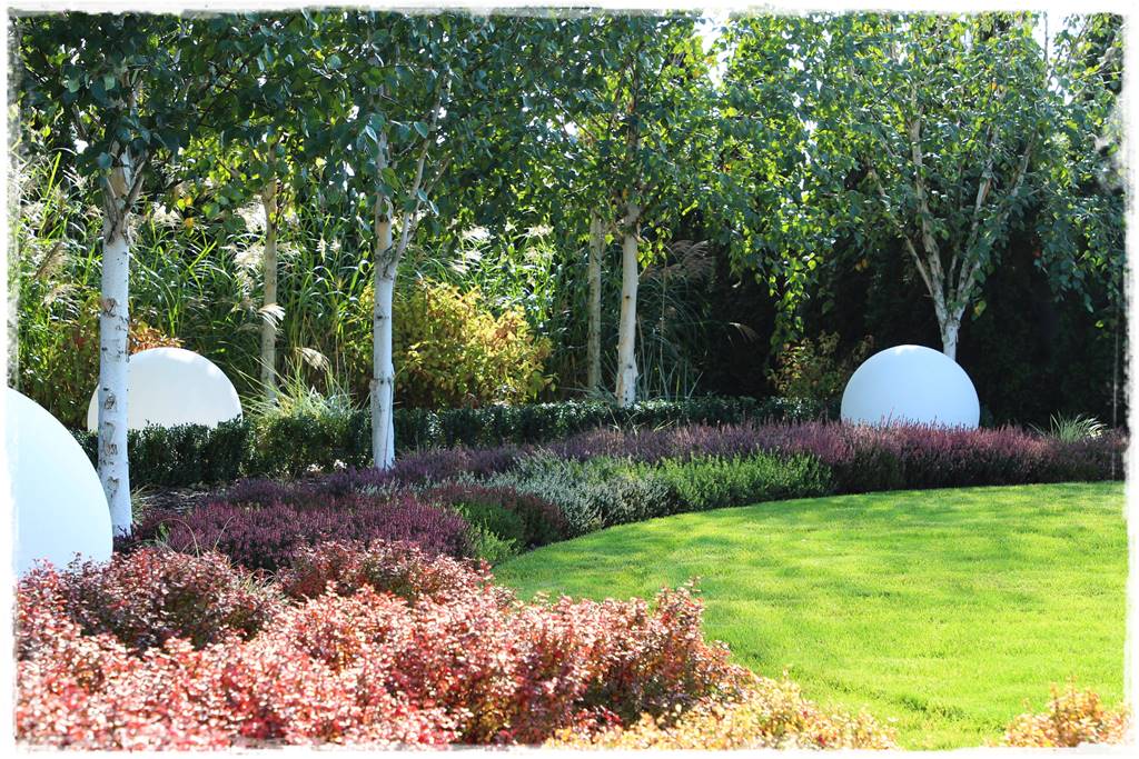 Rośliny miododajne 9 Rośliny miododajne 9