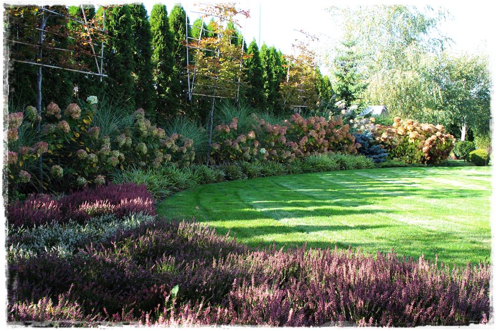 Rośliny miododajne 9d Rośliny miododajne 9d