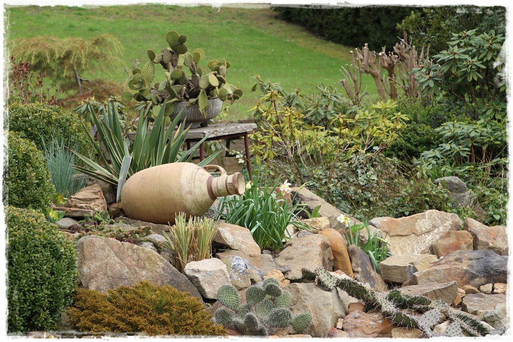 Rośliny odporne na suszę 27