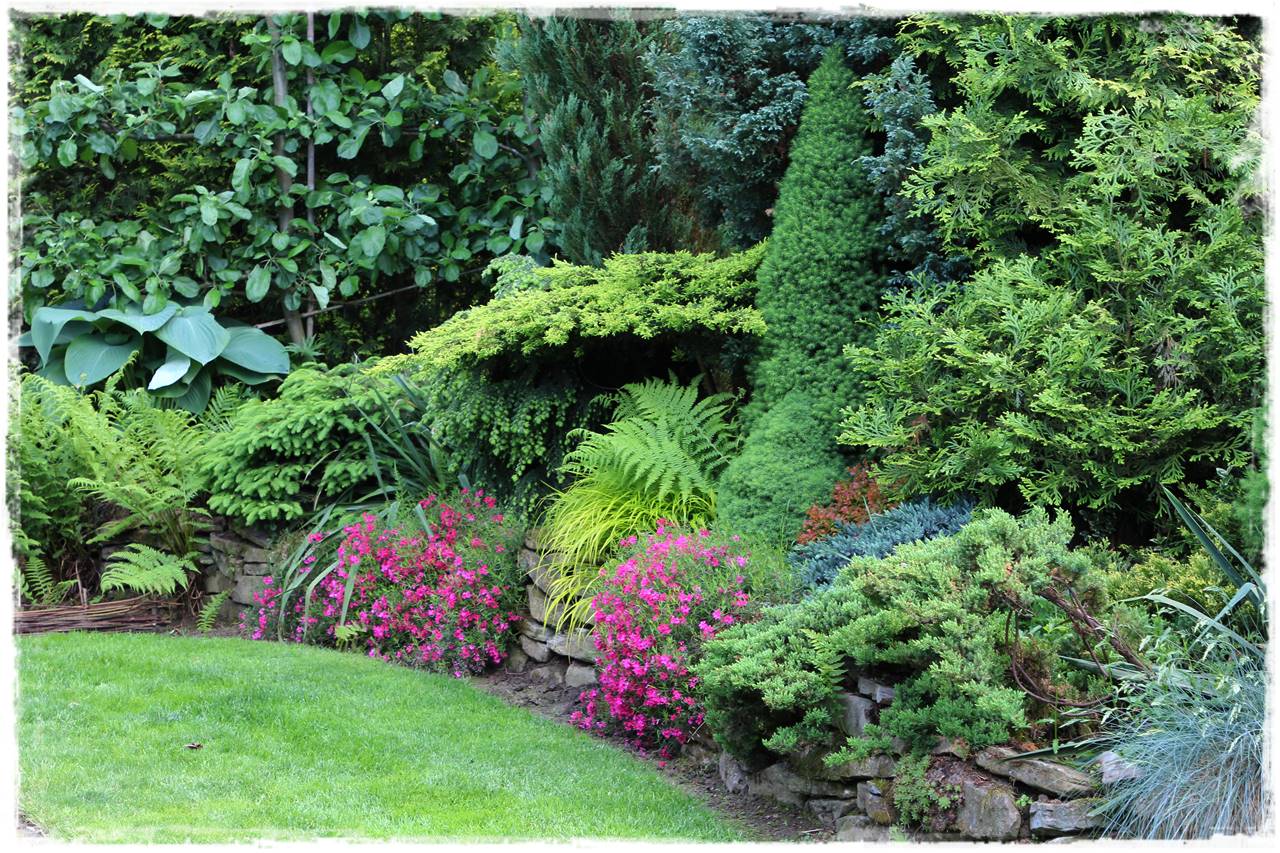 Rośliny odporne na suszę 33