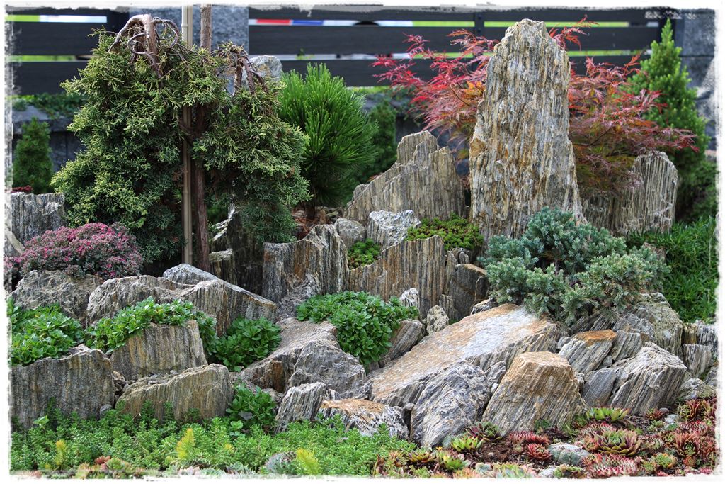 Rośliny odporne na suszę 34