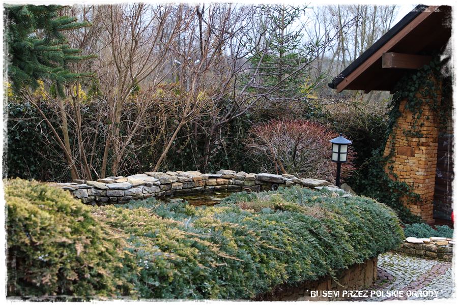 Rośliny odporne na suszę 37