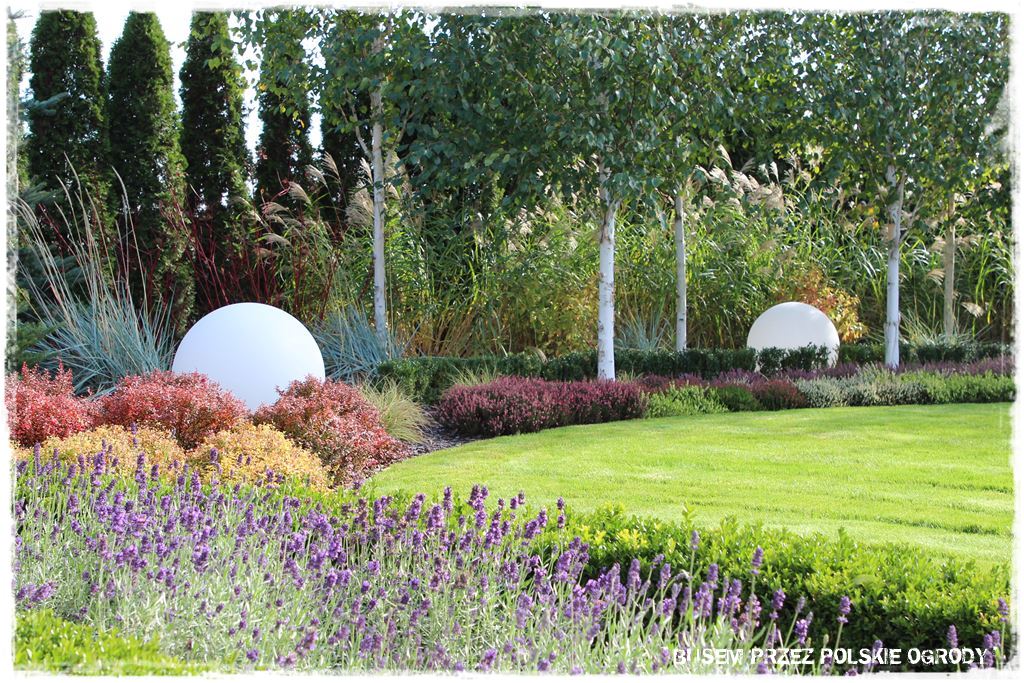 Rośliny odporne na suszę 43c