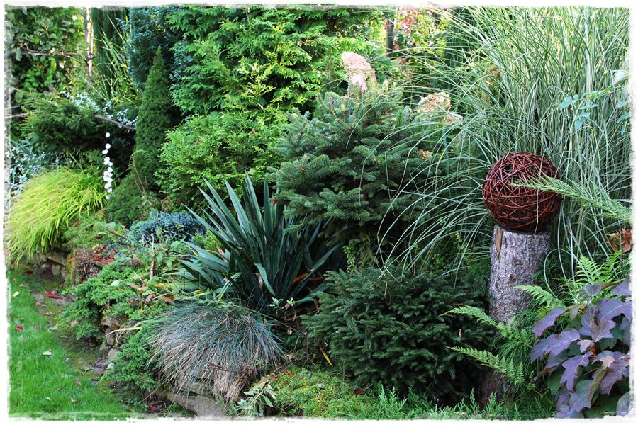 Rośliny odporne na suszę 46